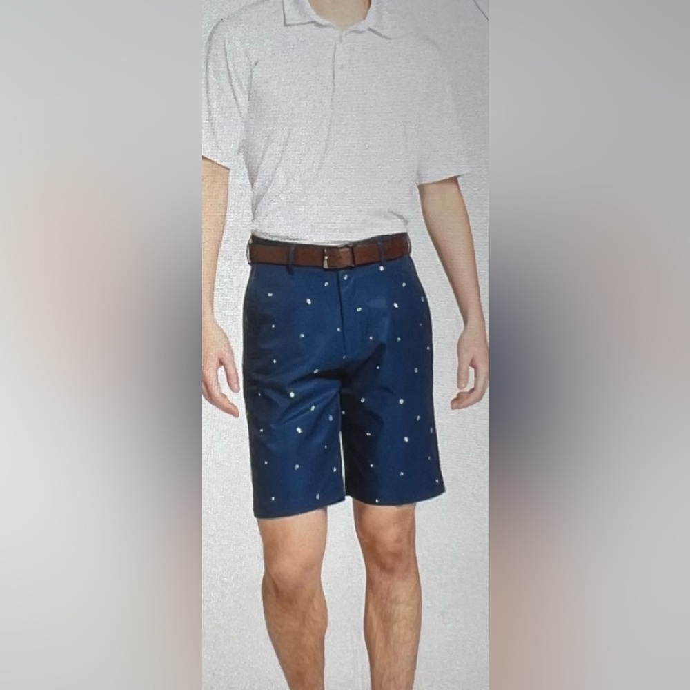 🆕 NWT WALTER HAGEN MENS PERFECT 11 GOLFSHORTS (42)